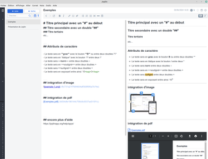 capture d'écran d'une fenêtre de Joplin pour montrer une utilisation avec du texte, un pdf intégré et une photo